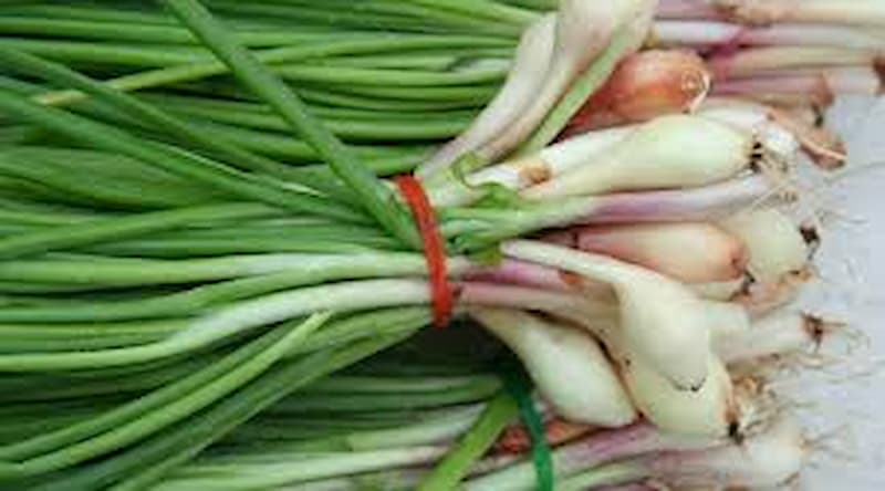 سیر خراسان طعم کلاسیک و طبیعی